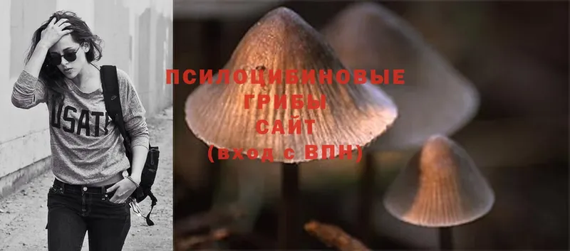 Псилоцибиновые грибы Magic Shrooms  Зеленоградск 